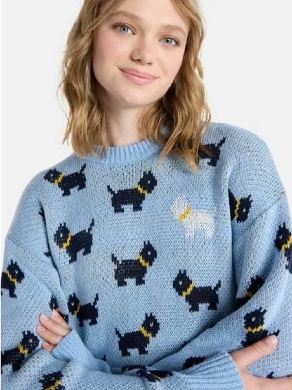 NEW Stranger Things Season 5 Erika Scottie Dog Sweater Blue Women’s Size Small